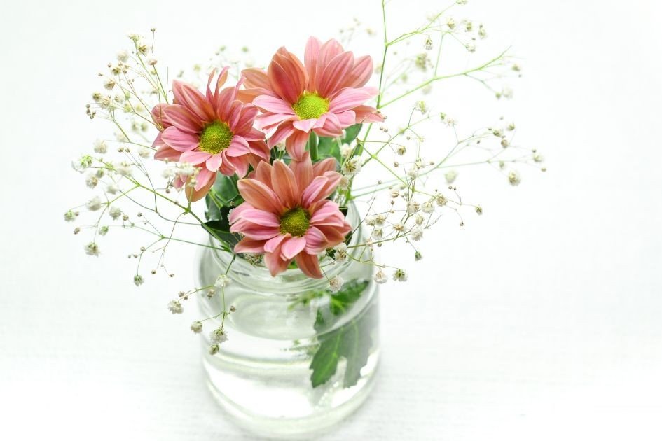 花瓶に生けた花